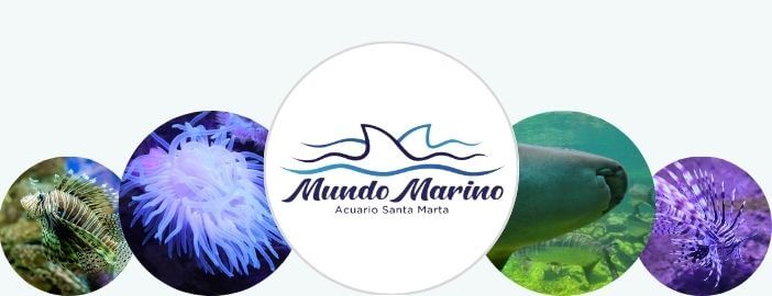Acuario Mundo Marino Santa Marta